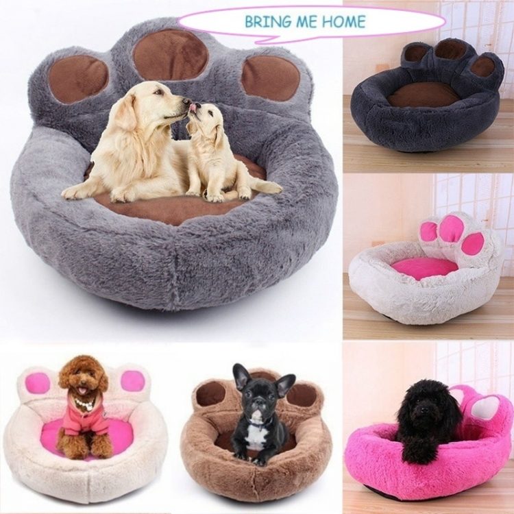 Cute Small Dog Beds